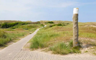 Norderney mit Hund: Top Wanderungen & Ausflugsziele an der Nordsee