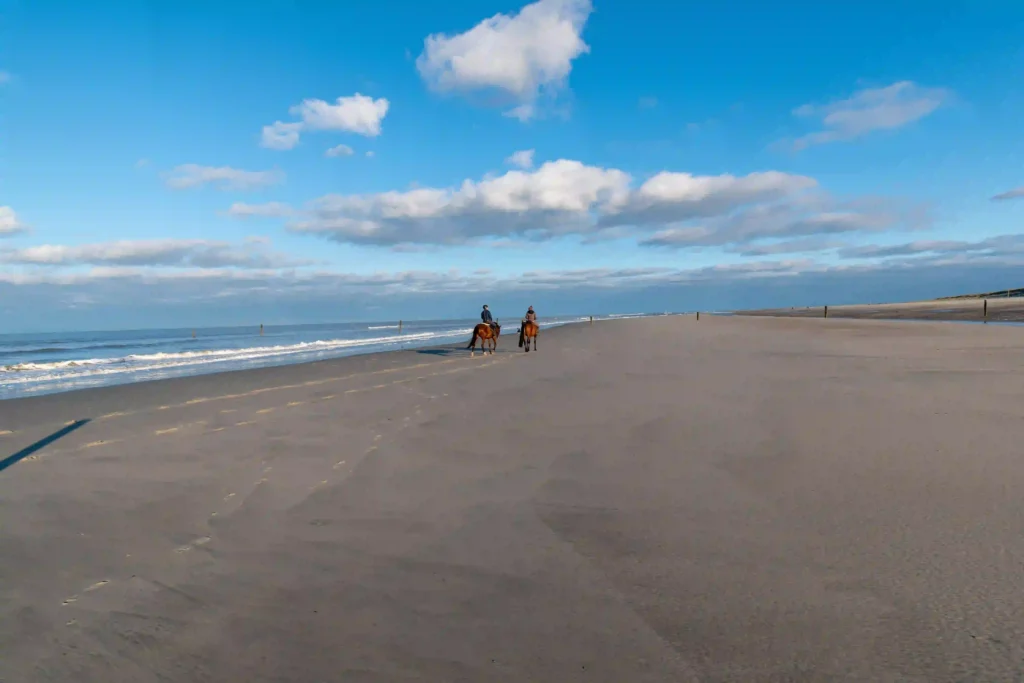 Norderney mit Hund: Top Wanderungen & Ausflugsziele an der Nordsee 6 Zwei Reiter galoppieren am breiten Sandstrand von Norderney entlang, die Wellen rauschen sanft im Hintergrund – ein tolles Erlebnis am hundefreundlichen Strand von Norderney.