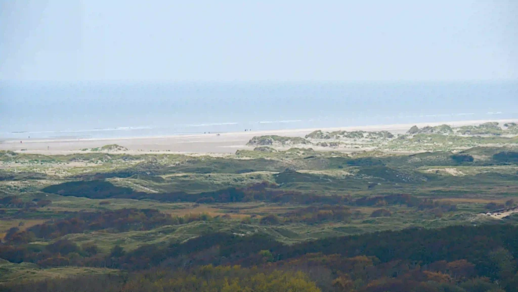 Norderney mit Hund: Top Wanderungen & Ausflugsziele an der Nordsee 1 Eine weite Panoramaansicht der Dünenlandschaft und des Strandes von Norderney mit dem Meer am Horizont – ideal für ausgedehnte Wanderungen und Erkundungen mit Ihrem Vierbeiner.