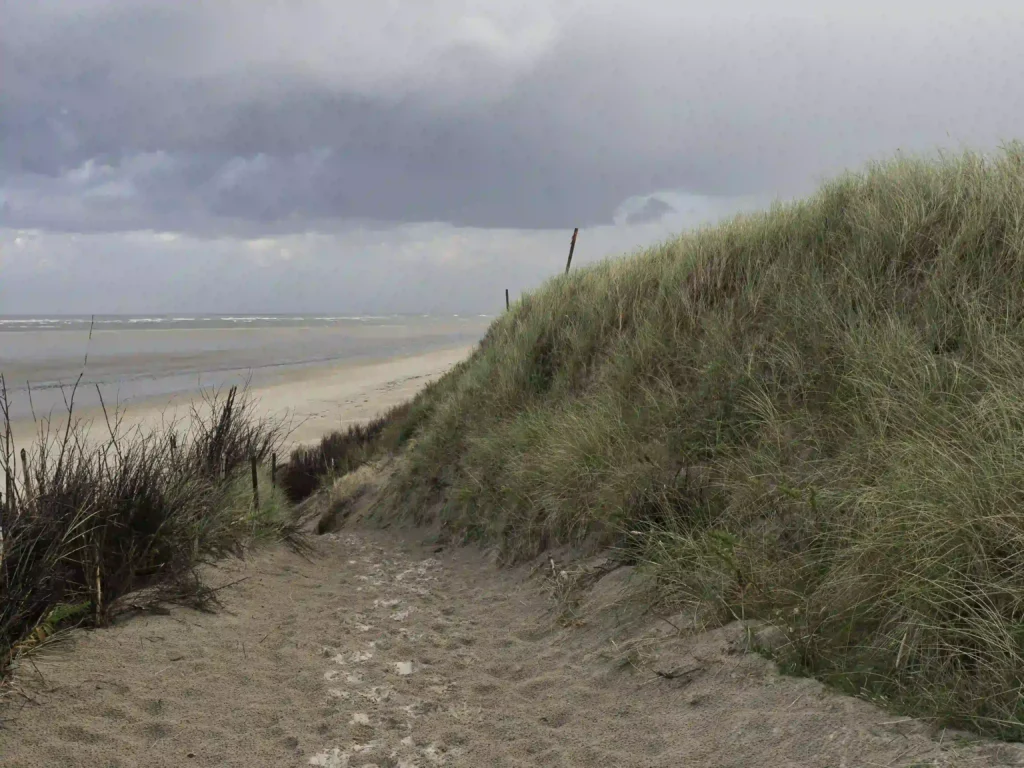 Spiekeroog mit Hund: Tipps für den perfekten Urlaub 6 Sandweg durch Dünen zum Strand auf Spiekeroog, ideal für Spaziergänge mit Hund am Meer.