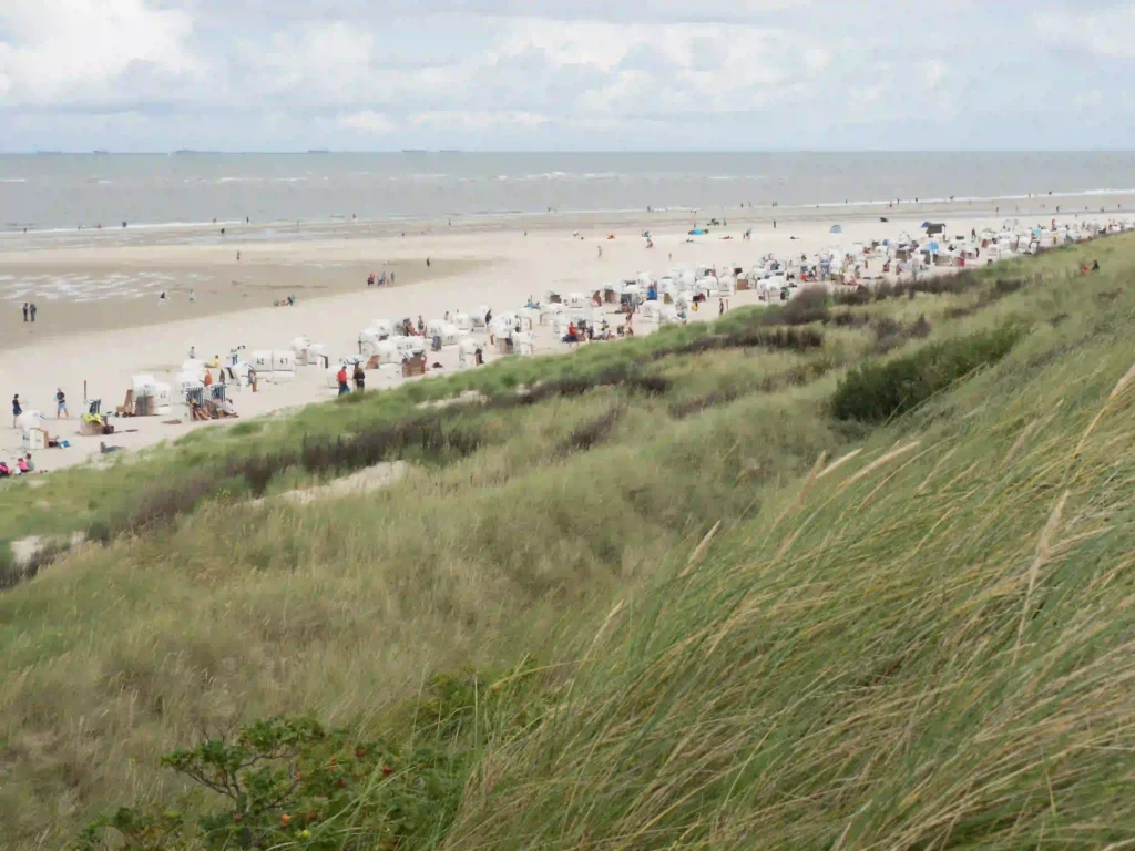 Spiekeroog mit Hund: Tipps für den perfekten Urlaub 3 Weitläufiger Sandstrand auf Spiekeroog mit vielen Strandkörben und Badegästen, auch für einen Tag mit Hund am Strand geeignet.