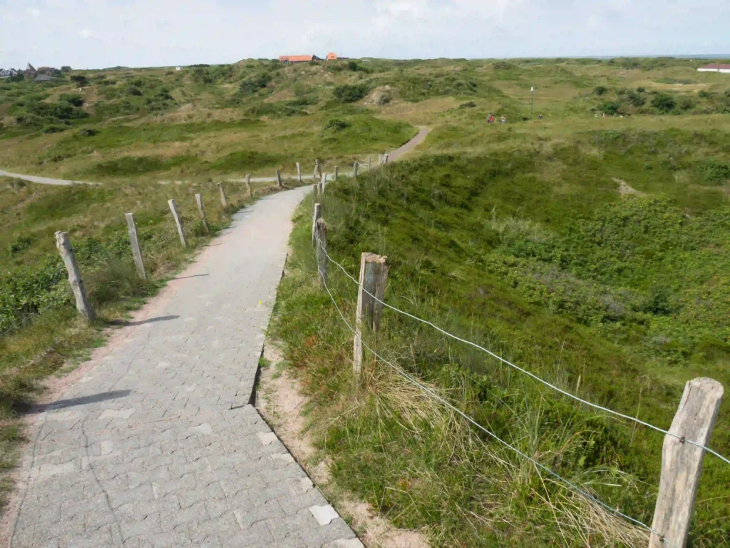 Spiekeroog mit Hund: Tipps für den perfekten Urlaub 1 Gepflasterter Weg durch die Dünenlandschaft von Spiekeroog, perfekt für ausgedehnte Wanderungen mit dem Hund.