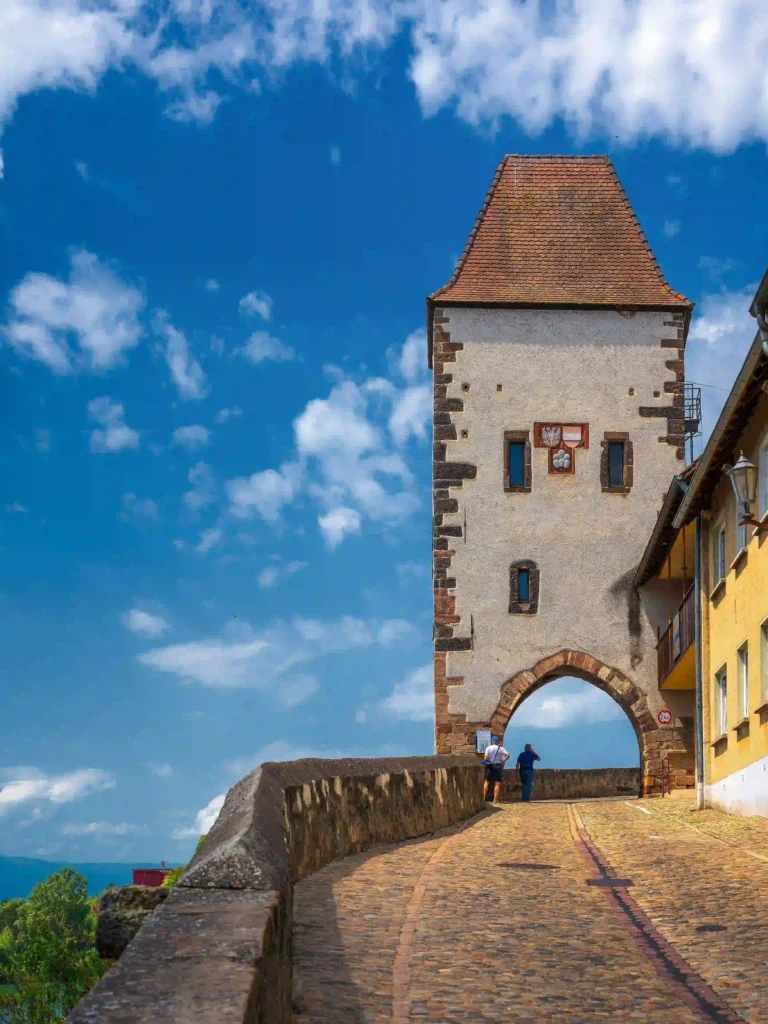 Wartburg mit Hund: Dein perfekter Wanderurlaub im Thüringer Wald 4 Alter Wehrturm mit Torbogen auf einem Kopfsteinpflasterweg, möglicherweise in der Nähe der Wartburg, interessant für historische Wanderungen.