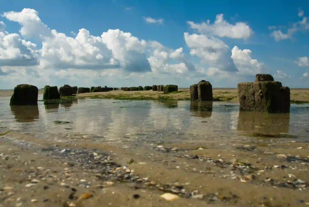 Urlaub auf Wangerooge mit Hund: Dein Guide für perfekte Ferien mit Vierbeiner 9 Wangerooge Strand bei Ebbe, mit alten Holzpfählen und Gezeitentümpeln unter bewölktem Himmel, ideal für einen Ausflug mit Hund.