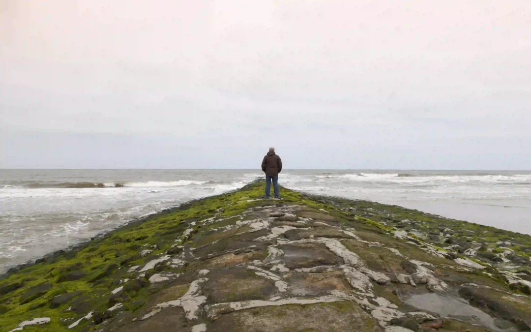 Urlaub auf Wangerooge mit Hund: Dein Guide für perfekte Ferien mit Vierbeiner