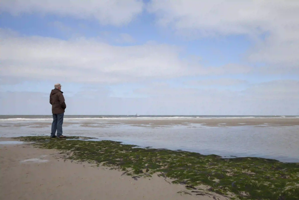 Urlaub auf Wangerooge mit Hund: Dein Guide für perfekte Ferien mit Vierbeiner 1 Einzelner Spaziergänger am Ufer des Wangerooger Strandes mit grünem Bewuchs, ein friedlicher Ort für Mensch und Hund.
