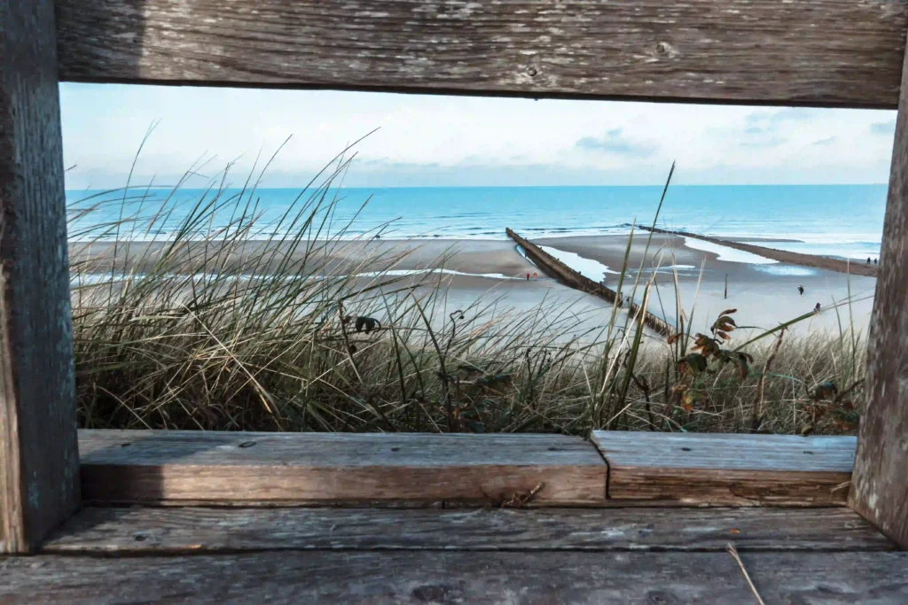 Urlaub auf Wangerooge mit Hund: Dein Guide für perfekte Ferien mit Vierbeiner 5 Blick durch einen Holzrahmen auf den weitläufigen Strand von Wangerooge mit Brandung und Buhnen, wo Hunde am Strand spielen können.