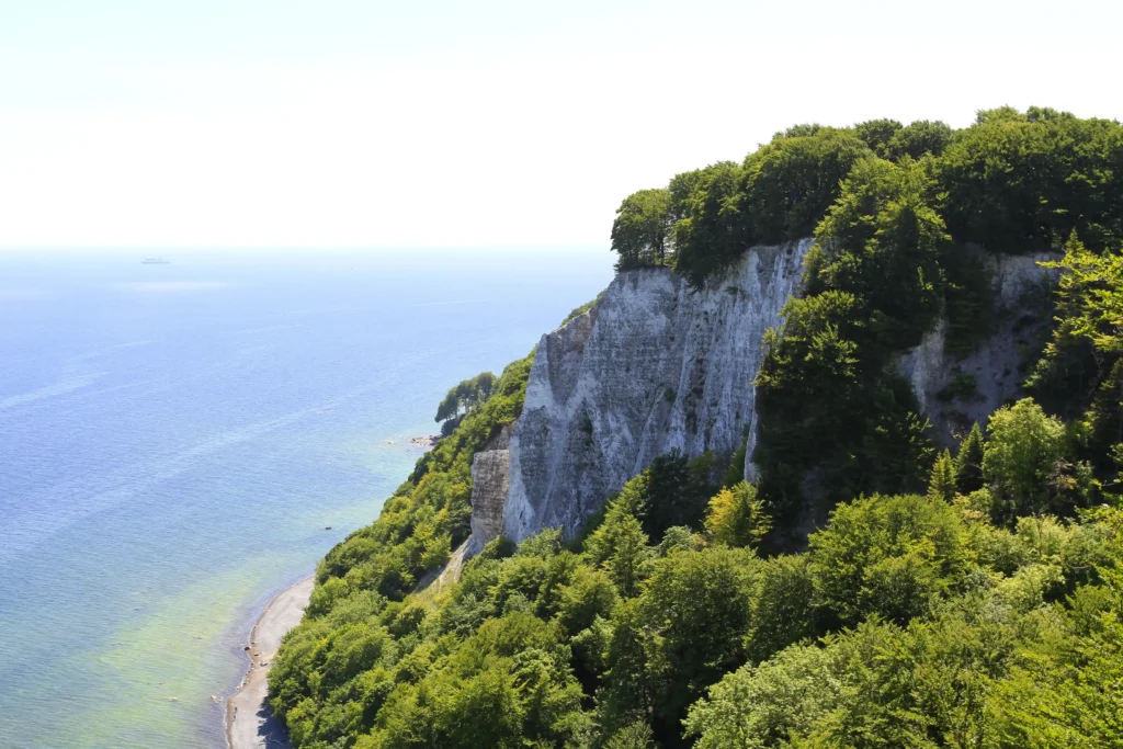 Spazieren im Jasmund Nationalpark mit Hund – Dein Guide 2 Winterlicher Bach mit moosbedeckten Baumstämmen und fließendem Wasser im Nationalpark Jasmund, ruhige Naturkulisse