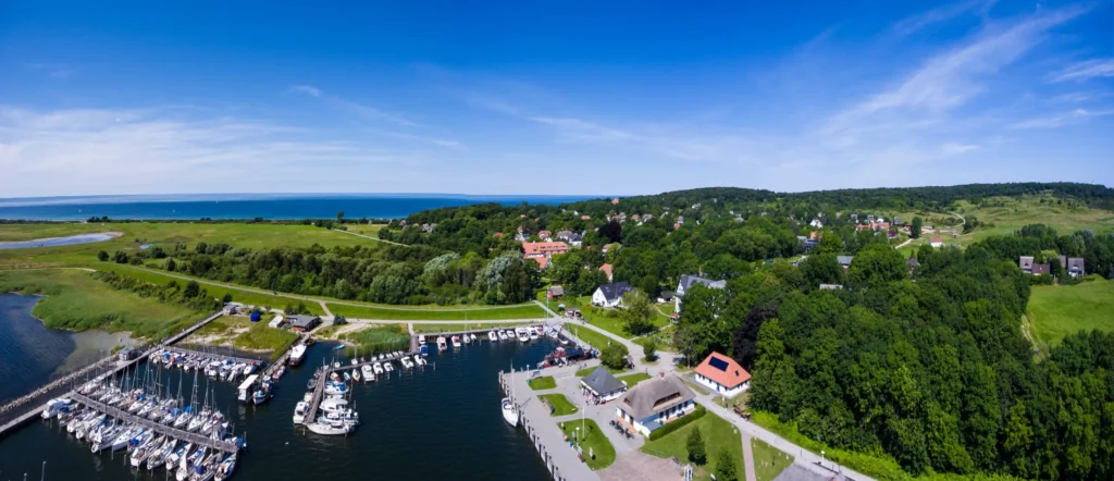 Hiddensee mit Hund: Perfekter Guide für deinen Inselurlaub 2 Panorama vom Urlaub auf Hiddensee mit Marina, malerischem Dorf, grünen Hügeln und blauem Himmel am Meer