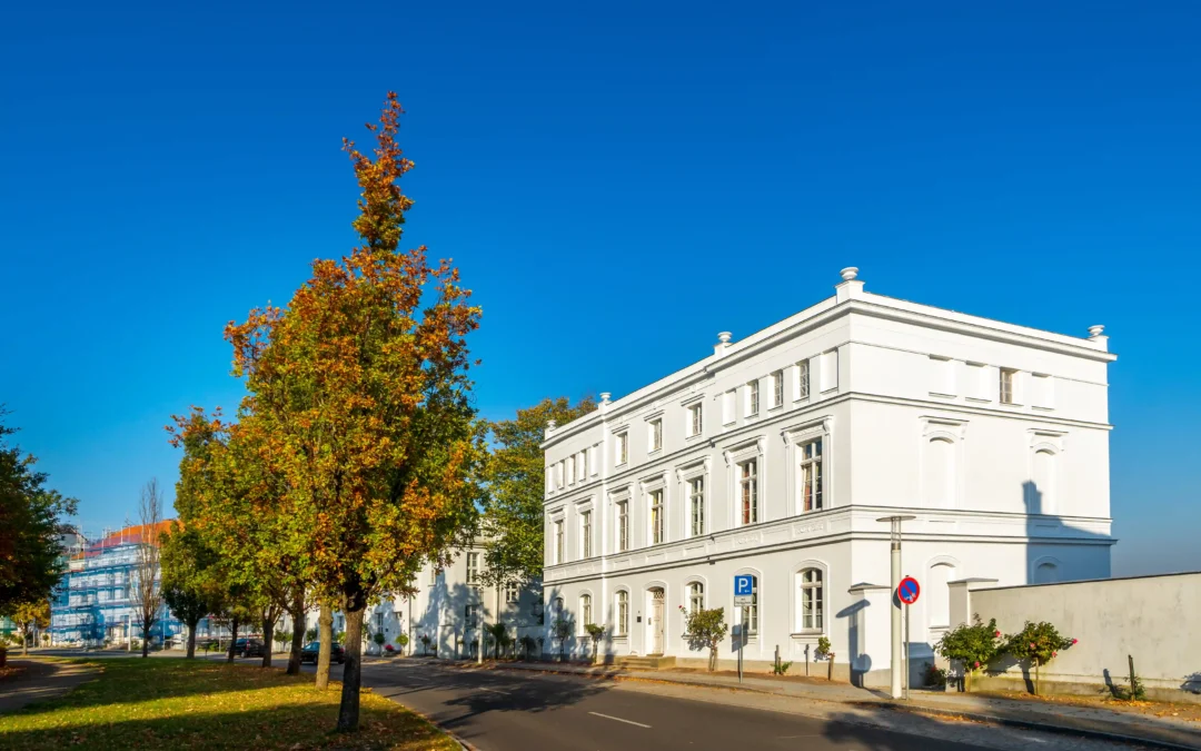 Urlaub in Putbus mit Hund – Der perfekte Guide für Rügen