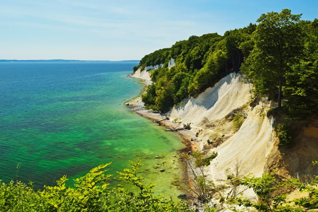Spazieren im Jasmund Nationalpark mit Hund – Dein Guide 8 Panorama der weißen Kreidefelsen von Jasmund mit türkisblauem Meer, grünem Wald und klarem Himmel an der Küste.