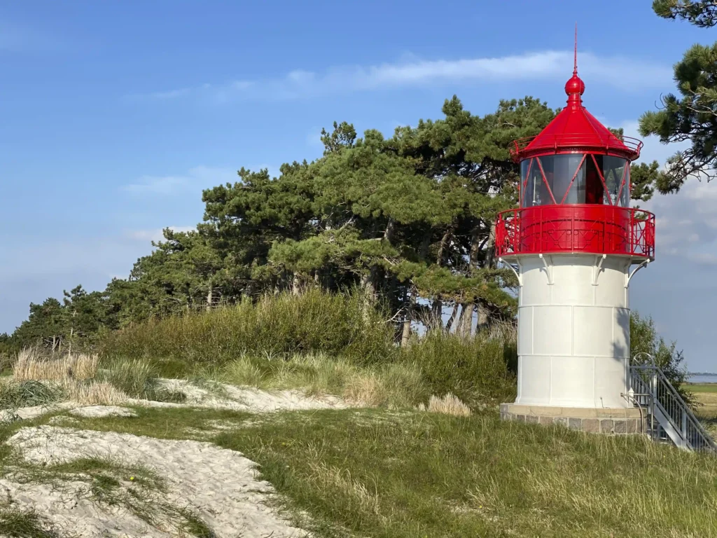 Hiddensee mit Hund: Perfekter Guide für deinen Inselurlaub 6 Weißer Leuchtturm mit rotem Dach an Küste mit Dünen, Bäumen und blauem Himmel – perfekter Urlaub auf Hiddensee.