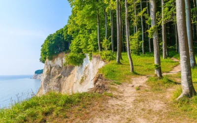 Blog 2 Spazieren im Jasmund Nationalpark mit Hund – Dein Guide