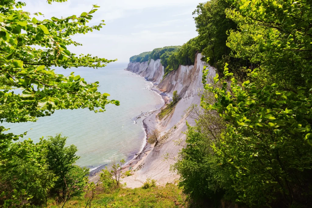 Spazieren im Jasmund Nationalpark mit Hund – Dein Guide 9 Blick auf die weißen Kreidefelsen, grüne Vegetation und das Meer im Nationalpark Jasmund unter hellem Himmel