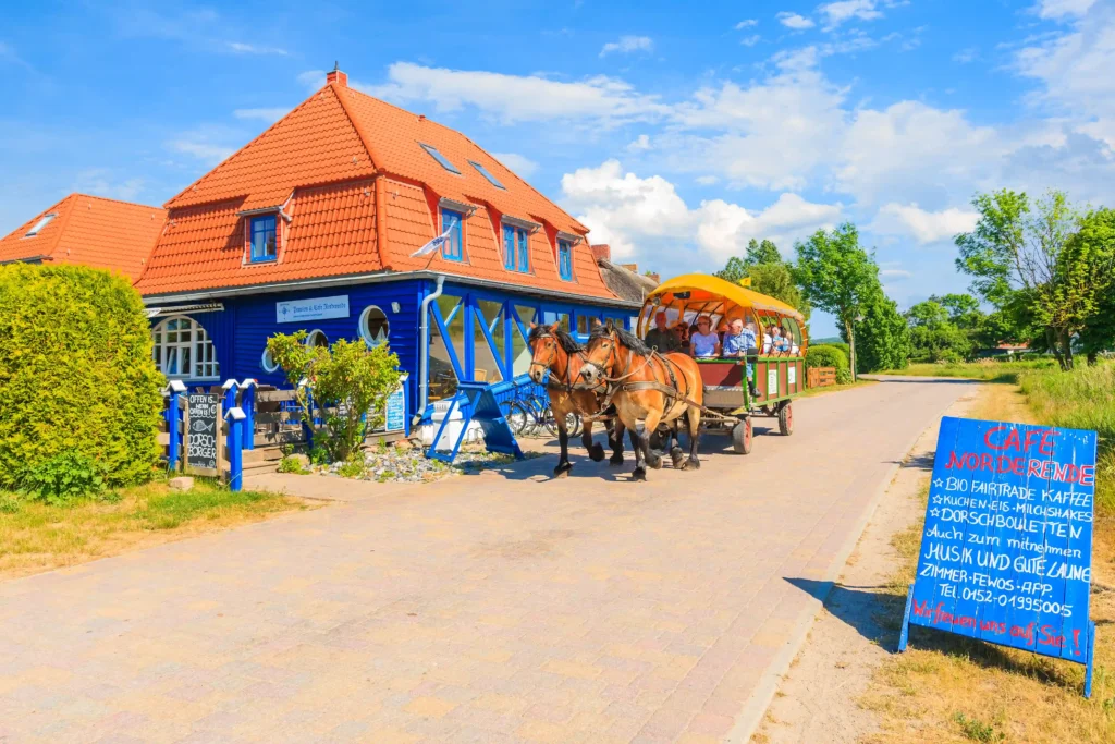 Hiddensee mit Hund: Perfekter Guide für deinen Inselurlaub 13 Urlaub auf Hiddensee: Pferdekutsche vor blauem Café mit rotem Dach, grüner Vegetation und blauem Himmel an sonnigem Tag.