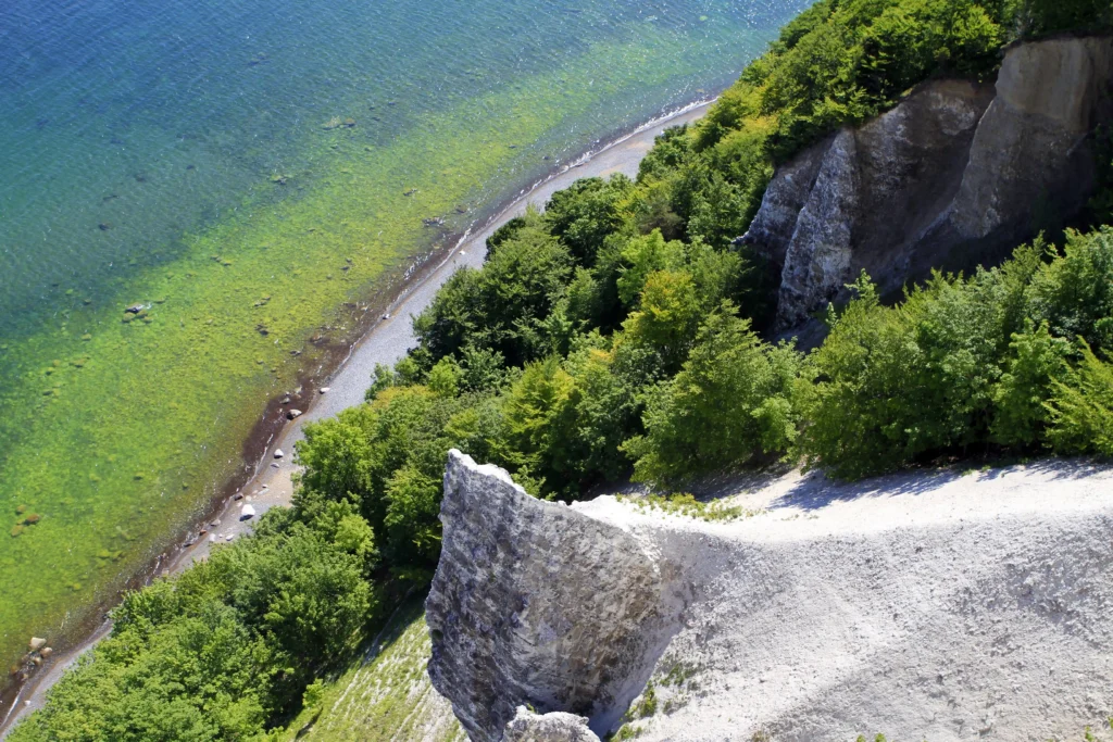 Spazieren im Jasmund Nationalpark mit Hund – Dein Guide 7 Steiler Kreidefelsen am Jasmund mit Blick auf den Sandstrand und das ruhige Wasser der Ostsee im Sonnenlicht