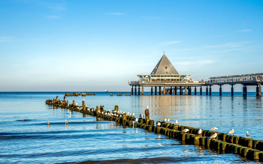 Urlaub mit Hund in Heringsdorf: Dein perfekter Ostsee-Guide