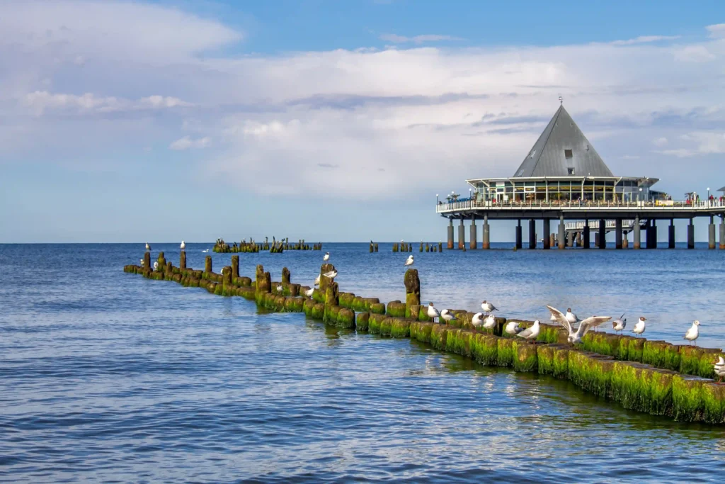 Urlaub mit Hund in Heringsdorf: Dein perfekter Ostsee-Guide 16 Piergebäude über Wasser mit Möwen auf moosbedeckten Pfählen, idealer Ort für Heringsdorf mit Hund Spaziergänge