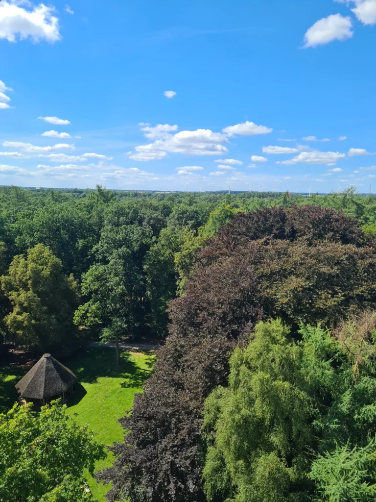 Luftaufnahme der Eichen in Ivenacker mit Windrädern, blauem Himmel und kleinem Gebäude im grünen Waldlichtung
