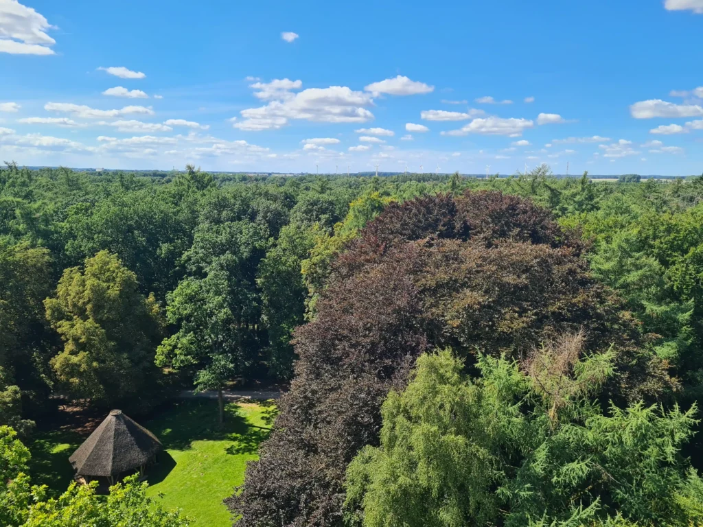 Luftaufnahme der Eichen in Ivenacker mit grünem Wald, blauem Himmel, weißen Wolken und einem strohgedeckten Pavillon
