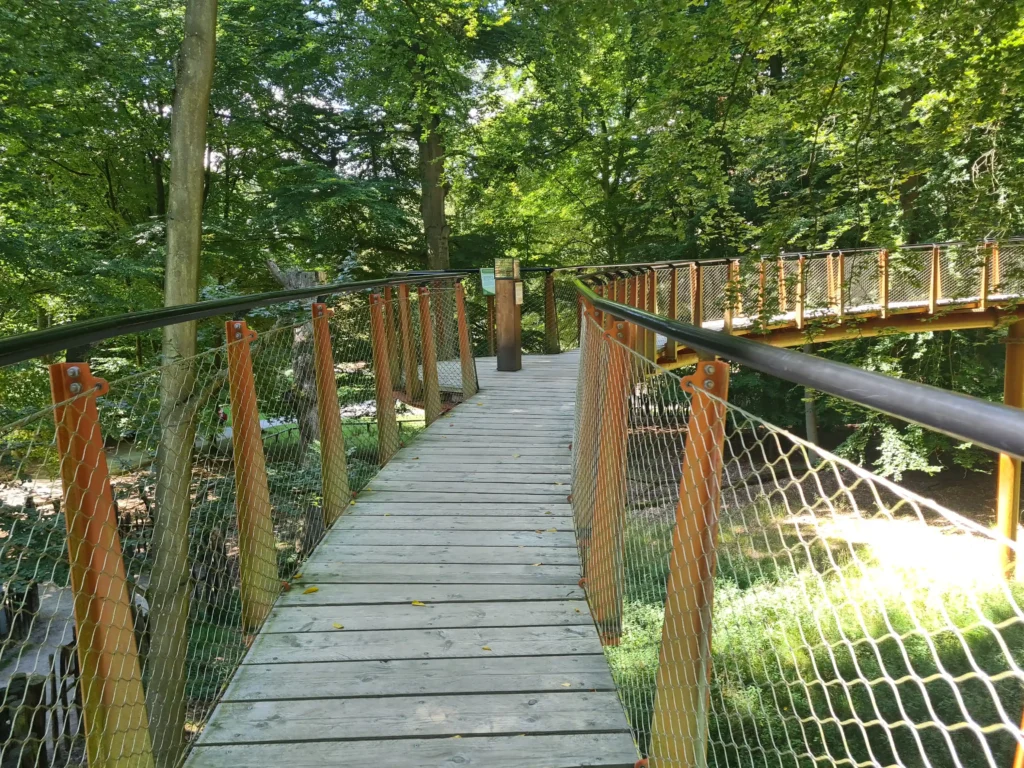 Erhöhter Holzsteg mit orangenen Geländern im grünen Wald der Ivenacker Eichen bei sonnigem Wetter und Herbstlaub
