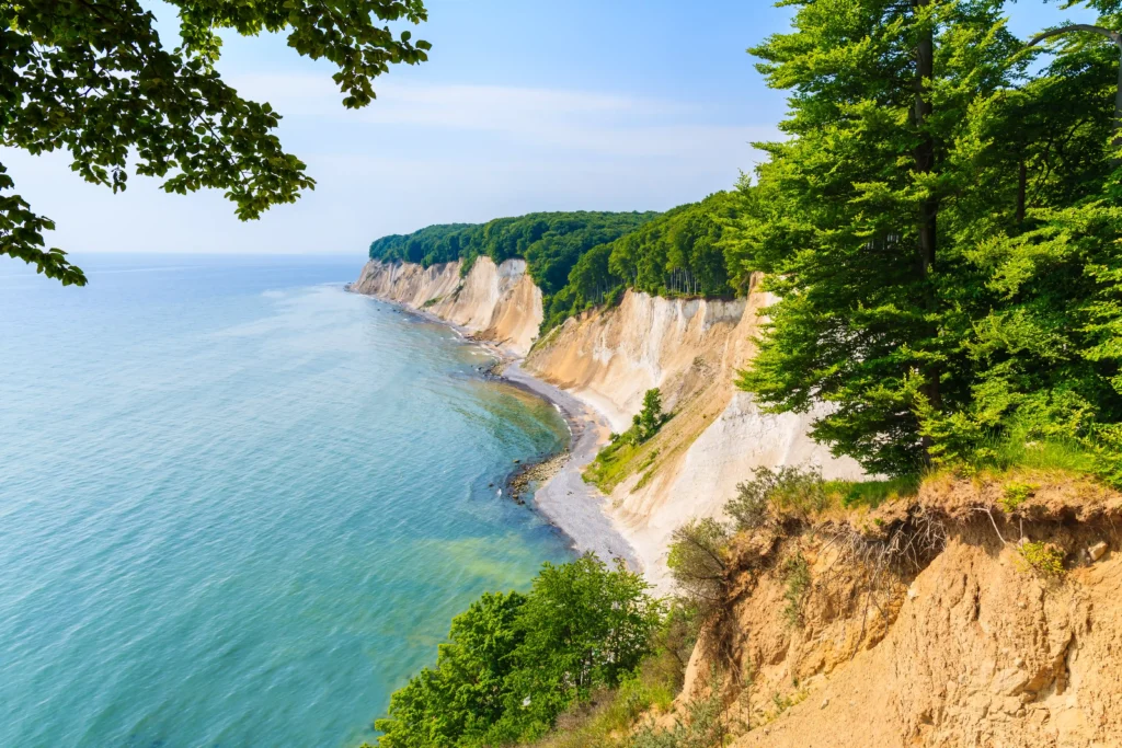 Wanderung Königsstuhl mit Hund: Perfekter Guide für Kreidefelsen 10 Panoramablick auf Kreidefelsen, dichten Wald und Meer bei klarer Sicht während einer Wanderung Königsstuhl in Rügen.