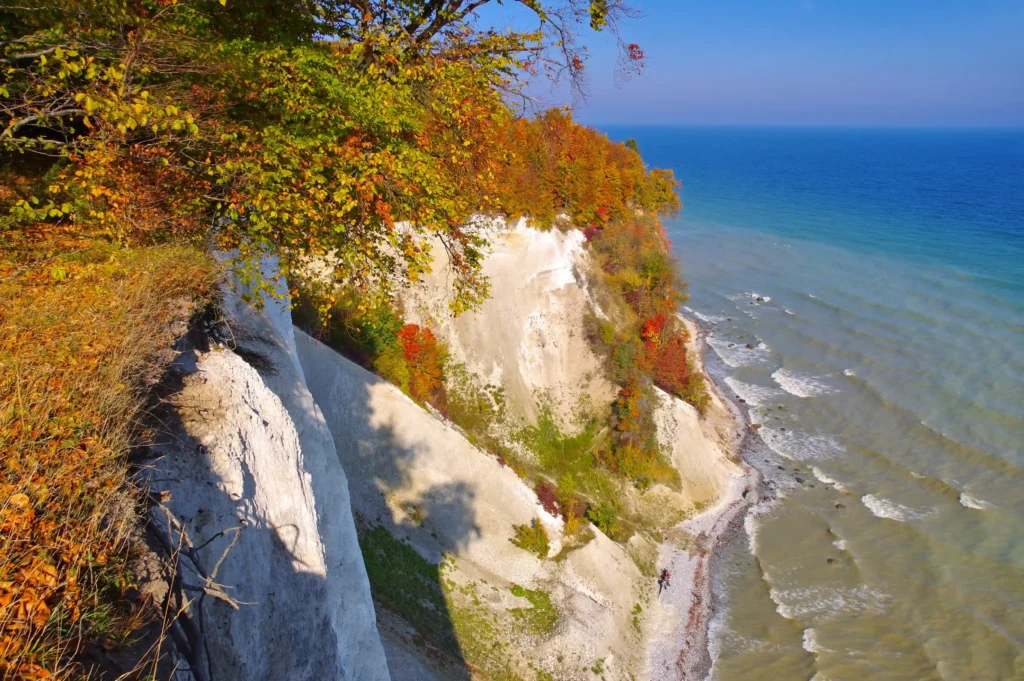 Wanderung Königsstuhl mit Hund: Perfekter Guide für Kreidefelsen 7 Herbstliche Wanderung Königsstuhl mit weißen Kreidefelsen, buntem Laub und blauem Meer unter klarem Himmel und Strand