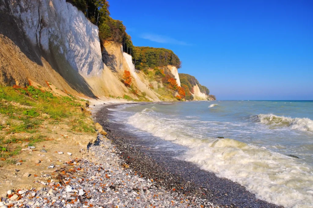 Wanderung Königsstuhl mit Hund: Perfekter Guide für Kreidefelsen 9 Weißer Kreidefelsen mit herbstlichen Bäumen, Kiesstrand und Meer bei klarer Sicht – perfekte Kulisse für Wanderung Königsstuhl.