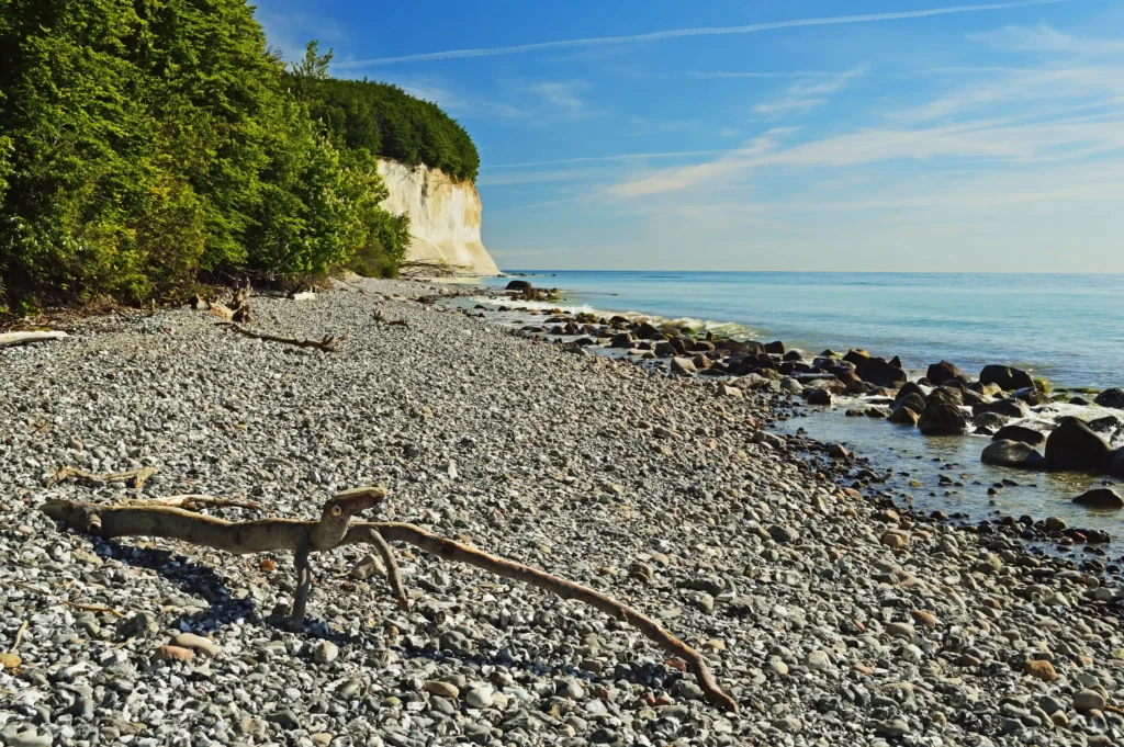Wanderung Königsstuhl mit Hund: Perfekter Guide für Kreidefelsen 2 Weite Kieselstrand mit weißen Kreidefelsen und Meer bei klarer Sicht, ideal für eine Wanderung Königsstuhl am Ostseestrand.