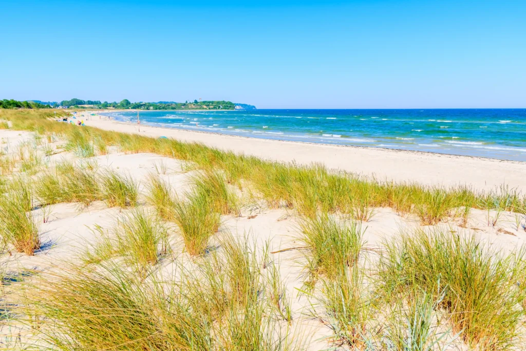 Urlaub mit Hund in Baabe auf Rügen: Top Tipps & Guide 7 Weite Strandaufnahme mit Dünen, blauem Meer und klarem Himmel bei Baabe Rügen, ideal für Erholung und Wassersport.