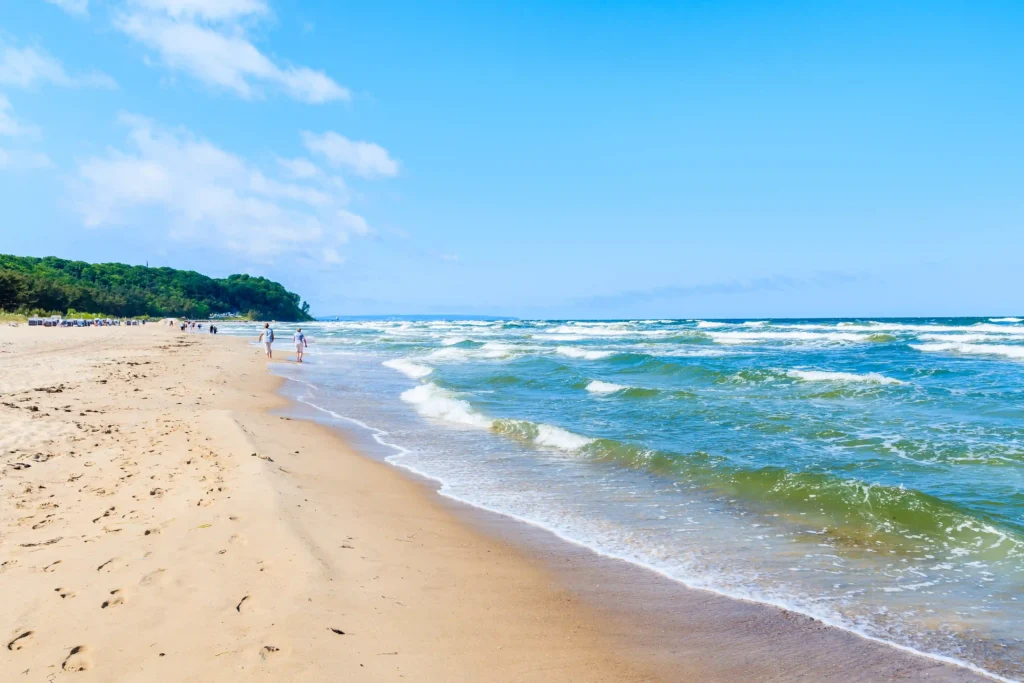 Urlaub mit Hund in Baabe auf Rügen: Top Tipps & Guide 11 Sonniger Strand mit Fußspuren, Wellen und Bäumen an der Küste von Baabe Rügen an einem klaren Tag