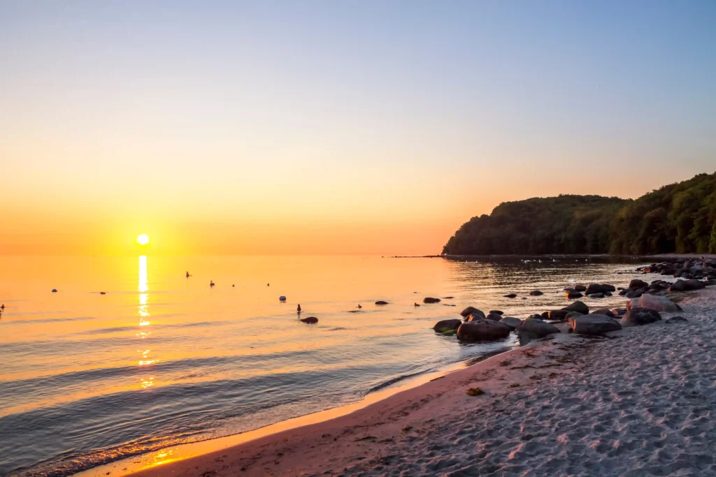 Dein perfekter Ausflug zum Hundestrand Binz 10 Sonnenaufgang über dem ruhigen Strand von Binz mit goldener Lichtreflexion, Waldklippe und Schwänen im Wasser.