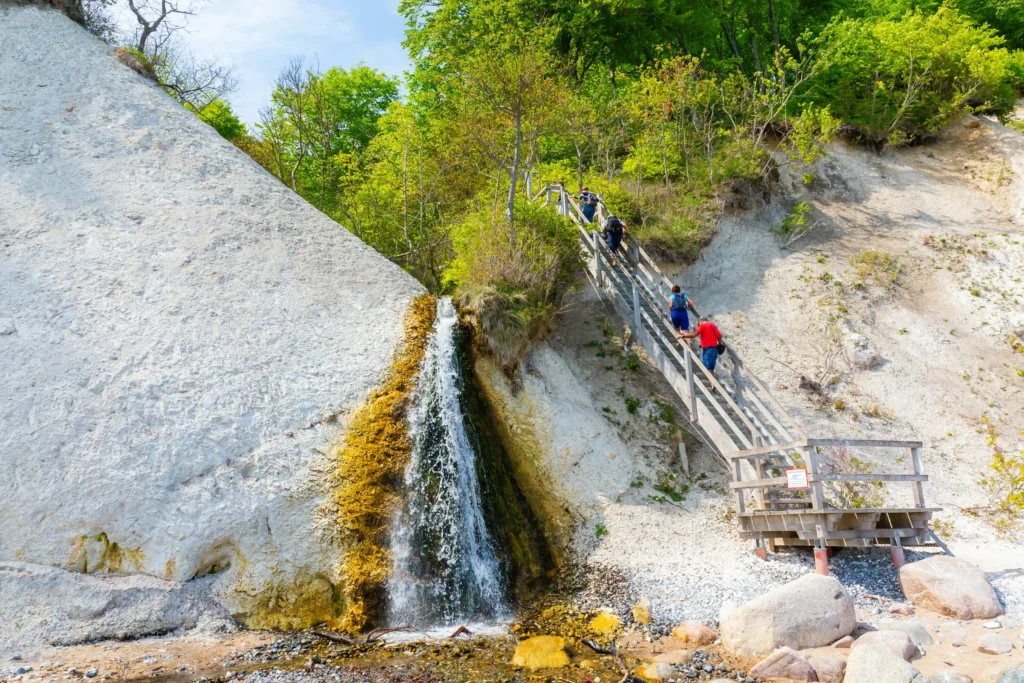 Glowe auf Rügen: Perfekter Urlaub mit Hund 7 Weißer Kreidefelsen mit Wasserfall und Holztreppe im grünen Wald – perfekter urlaug in glowe rügen Naturkulisse