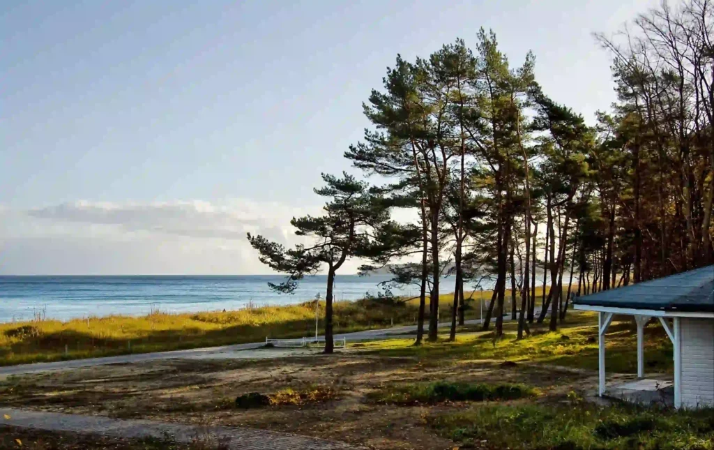 Rügen mit Hund: Perfekter Urlaub für dich & deinen Vierbeiner 11 Sonnige Küstenlandschaft auf Rügen mit Hund, mit Strand, Kiefern, Weg und Pavillon in natürlicher Umgebung