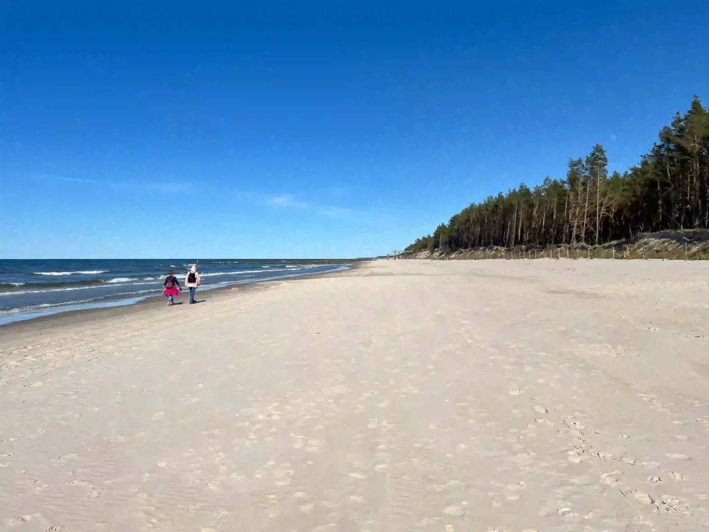 Rügen mit Hund: Perfekter Urlaub für dich & deinen Vierbeiner 3 Weite Sandstrand mit Dünen, Wald und Meer an einem klaren Tag – perfektes Reiseziel für Rügen mit Hund.