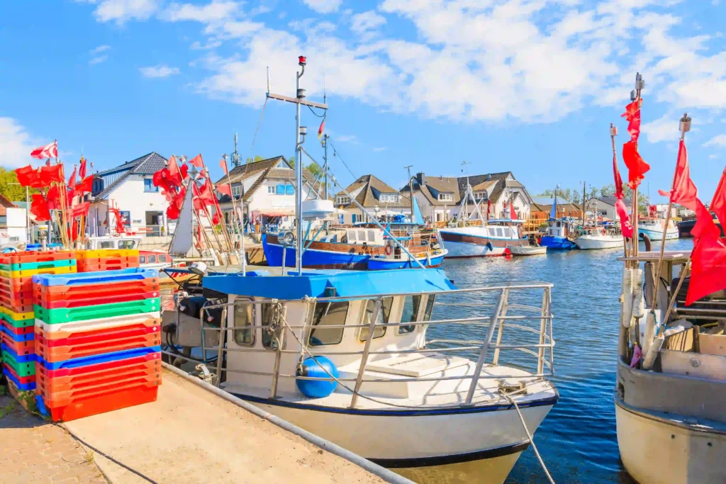 Rügen mit Hund: Perfekter Urlaub für dich & deinen Vierbeiner 12 Bunter Hafen mit Booten und weißen Häusern an der Küste, ideal für Rügen mit Hund an sonnigem Tag am Meer