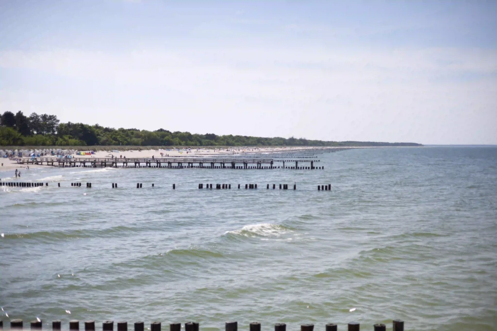 Urlaub mit Hund in Zinnowitz: Dein perfekter Ostseeurlaub 3 Panoramablick auf Zinnowitz mit Hund am Strand, Strandkörbe, Pier, grüne Dünen und sanfte Ostseewellen an einem hellen Tag